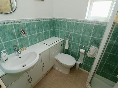 Picture 13